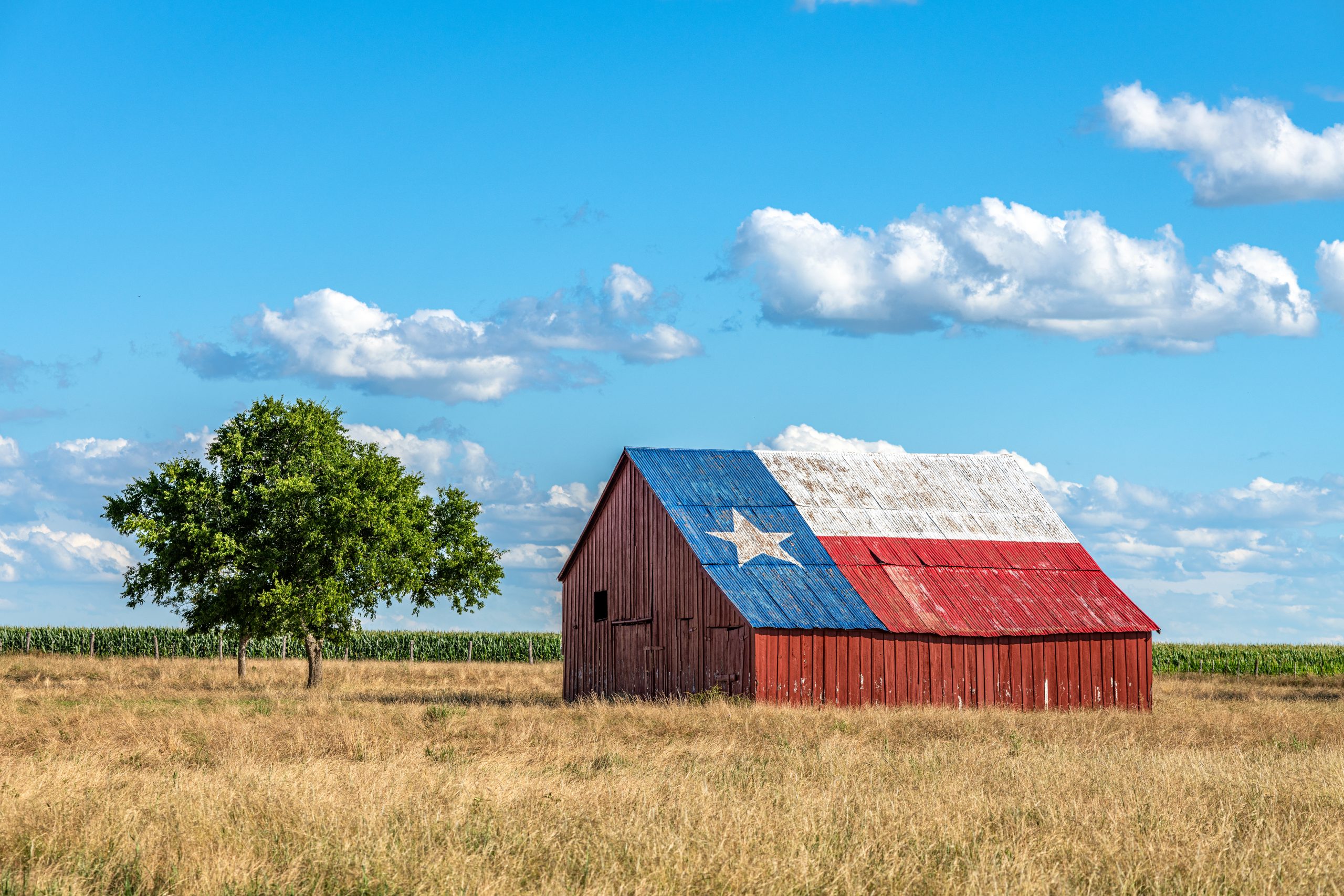 Affordable RN to BSN Programs in Texas