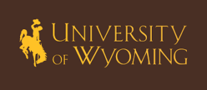 Best Wyoming Online RN to BSN Nursing Schools